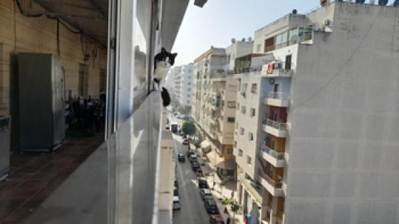 التوليفة 14 (عشر كلمات لتأبين وينو)